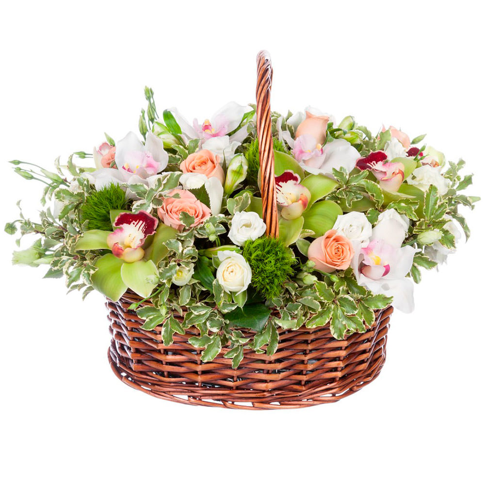 Купить Цветы в коробке «Грация» в Губкине за 2 руб. | Быстрая доставка цветов